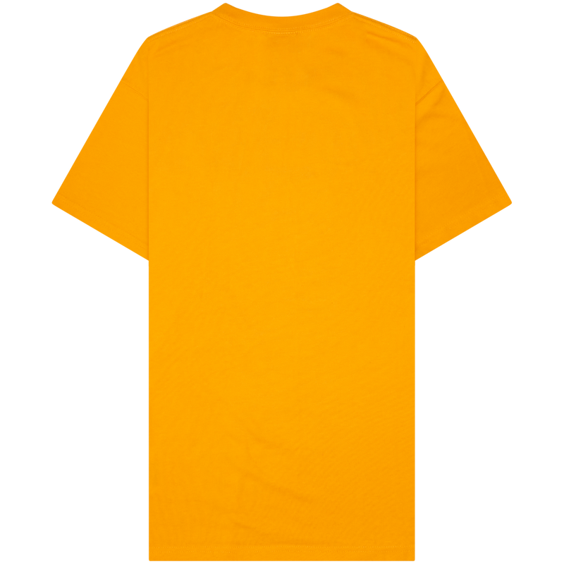NIKE ACG Orange Logo Tee Size Medium / Size M / Mens / Orange / RRP £35.00