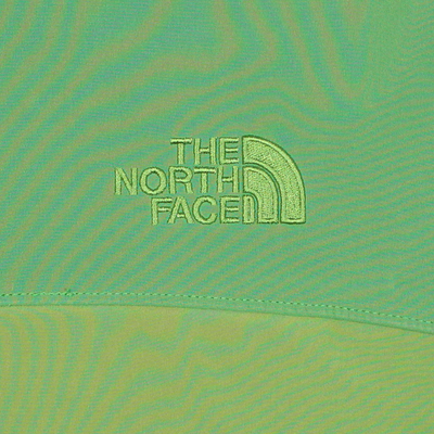 The North Face Green Denali Jacket Size Large / Size L / Mens / Green / Oth...